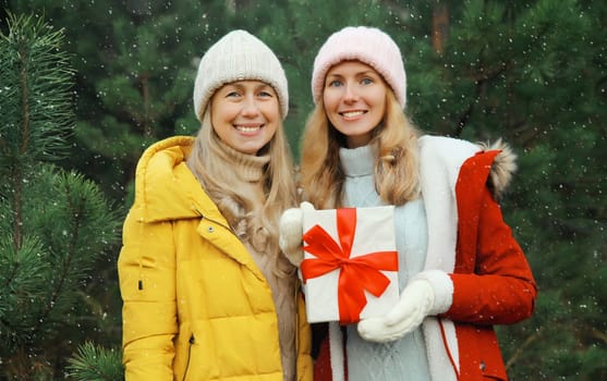 Happy smiling women friends holding festive gift box, celebration, joyful girlfriends together on Christmas tree background in winter forest, wearing hat, jacket outdoors