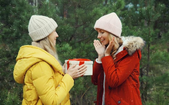Happy smiling women friends gives festive gift box, celebration, joyful girlfriends together on Christmas tree background in winter forest, wearing hat, colorful jacket outdoors