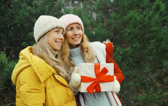 Happy smiling women friends holding festive gift box, celebration, joyful girlfriends together on Christmas tree background in winter forest, wearing hat, jacket outdoors