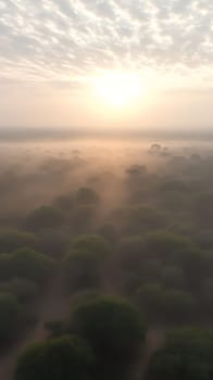 A breathtaking misty sunrise envelops a dense forest, creating a mystical and serene atmosphere.
