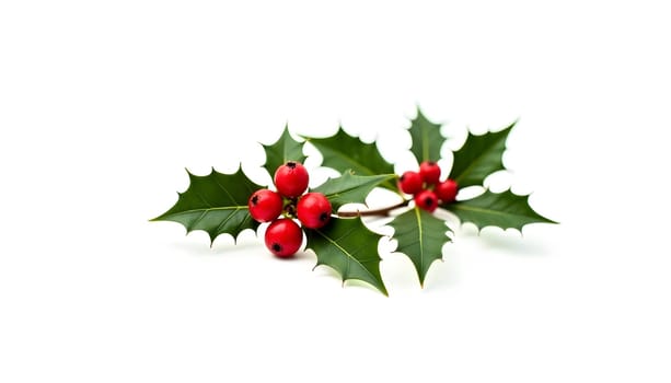 A sprig of holly with bright red berries, fully isolated to showcase its vibrant colors and traditional holiday symbolism. Ideal for festive and seasonal designs
