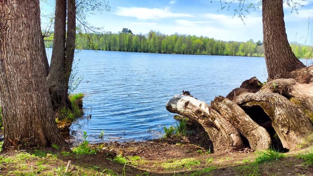 A serene lake bordered by trees reflects a clear sky on a bright spring day