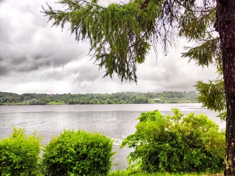 A peaceful lakeside area showcasing calm waters and vibrant greenery under an overcast sky.