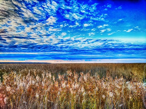 The sun sets over a field of tall grass, creating breathtaking display of colors in the evening sky