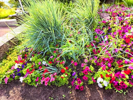 A lively garden filled with various colorful flowers and lush green grass under bright sunlight in a public park.