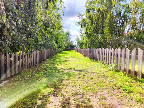 A serene pathway stretches between tall trees and a wooden fence, inviting quiet walks in a peaceful rural landscape.