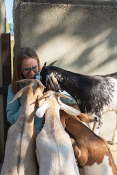 A woman interacts with friendly goats at an animal farm, feeding them treats on a sunny day, enjoying a farm experience.