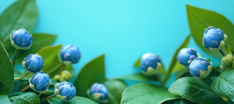 Close-up of beautiful blue flower buds and green leaves creating a serene natural scene