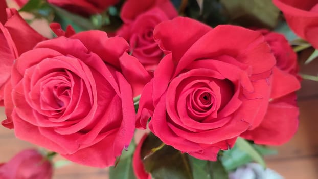 beautiful red roses flowers plants flora nature bouquet petals. High quality photo