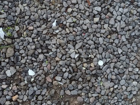 A close-up view of a gravel surface showing small stones and scattered debris with bits of greenery emerging through gaps. Ideal for backgrounds or environmental concepts.