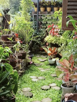 Explore a vibrant backyard garden featuring a stone pathway surrounded by lush greenery and various potted plants, creating a serene and tranquil outdoor oasis. Ideal for gardening enthusiasts and nature lovers.