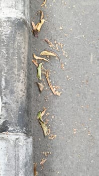 Dry leaves scattered along a concrete curb, capturing the essence of autumn in an urban environment. The scene evokes feelings of change, passage of time, and natural decay.