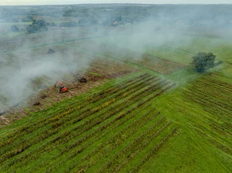 FRANCE, GIRONDE, NAUJAN-ET-POSTIAC, BORDEAUX VINEYARD UPROOTING CAMPAIGN WITH BACKHOE LOADER. High quality photo