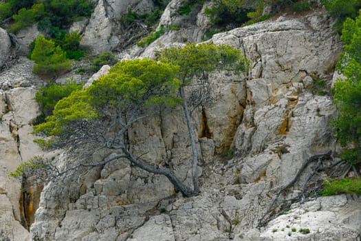 Marseille, France - June 9, 2024 : Calanque of En-Vau on the Coast of Provence, Calanques National Park seen from an excursion boat cruising, High quality 4k footage