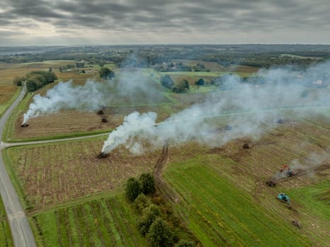 FRANCE, GIRONDE, NAUJAN-ET-POSTIAC, BORDEAUX VINEYARD UPROOTING CAMPAIGN WITH BACKHOE LOADER. High quality photo