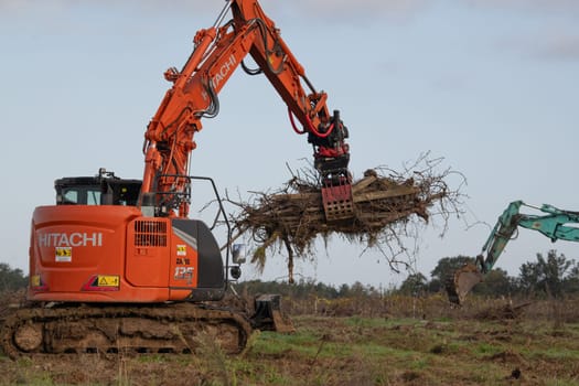 FRANCE, GIRONDE, NAUJAN-ET-POSTIAC, BORDEAUX VINEYARD UPROOTING CAMPAIGN WITH BACKHOE LOADER. High quality photo