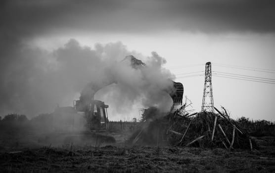 FRANCE, GIRONDE, NAUJAN-ET-POSTIAC, BORDEAUX VINEYARD UPROOTING CAMPAIGN WITH BACKHOE LOADER. High quality photo