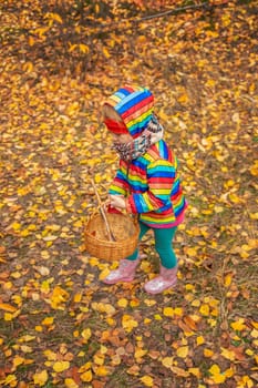 Child in autumn forest. Selective focus. nature.