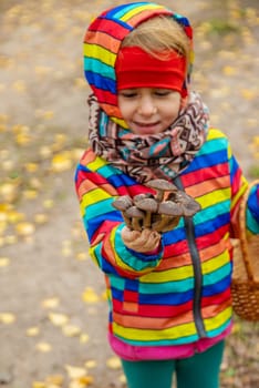 Child with mushrooms in the forest. Selective focus. nature.