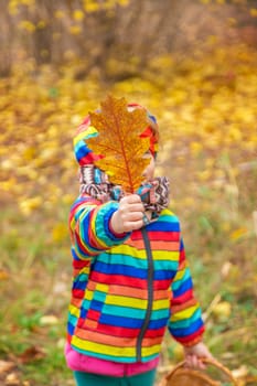 Child in autumn forest. Selective focus. nature.