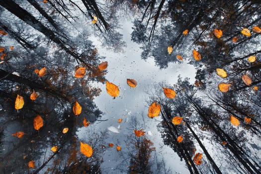 A captivating view of autumn leaves suspended above tranquil forest water, beautifully reflecting the surrounding trees and sky, evoking peace and serenity.