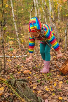Child and fly agaric in the forest. Selective focus. nature.