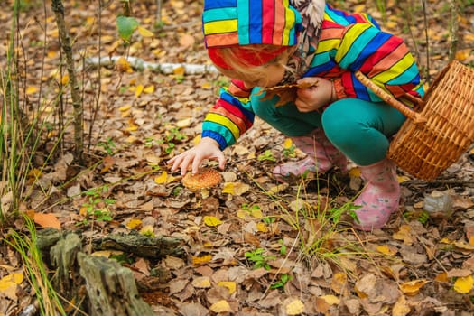 Child and fly agaric in the forest. Selective focus. nature.
