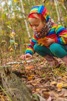 Child and fly agaric in the forest. Selective focus. nature.