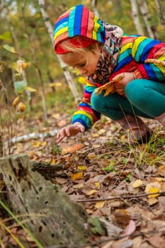 Child and fly agaric in the forest. Selective focus. nature.