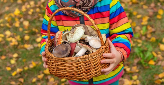 Child with a basket of mushrooms in the forest. Selective focus. nature.