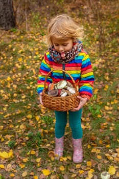 Child with a basket of mushrooms in the forest. Selective focus. nature.