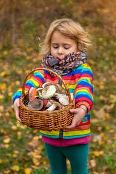 Child with a basket of mushrooms in the forest. Selective focus. nature.