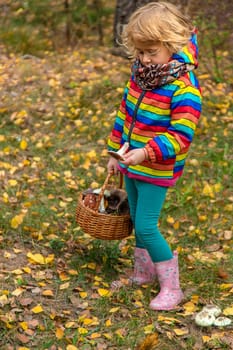 Child with a basket of mushrooms in the forest. Selective focus. nature.