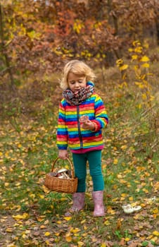Child with a basket of mushrooms in the forest. Selective focus. nature.