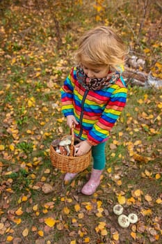Child with a basket of mushrooms in the forest. Selective focus. nature.