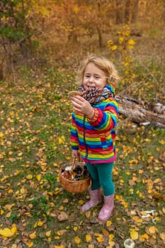 Child with a basket of mushrooms in the forest. Selective focus. nature.