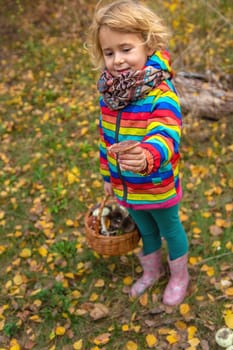 Child with a basket of mushrooms in the forest. Selective focus. nature.
