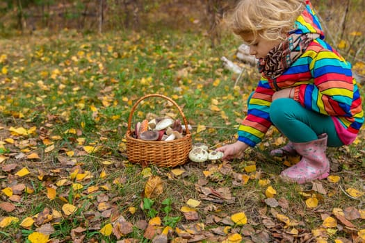 Child with a basket of mushrooms in the forest. Selective focus. nature.