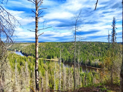 Lush green grass and vibrant trees surround a serene lake on a sunny day.