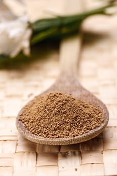 Raw Sucanat sugar displayed on a wooden spoon.