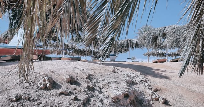 Comfortable beach on the beach with comfortable sun loungers and umbrellas.