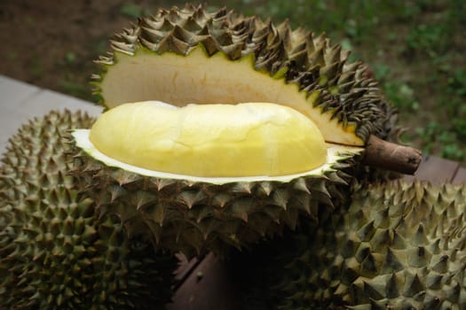 Mon Thong durian fruit on wooden plank background. Regarded by many people in southeast asia as the king of fruits.