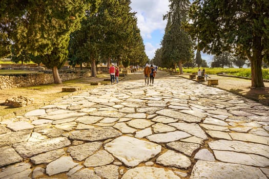 Photo of the cardo maxima of the Roman city of Italica