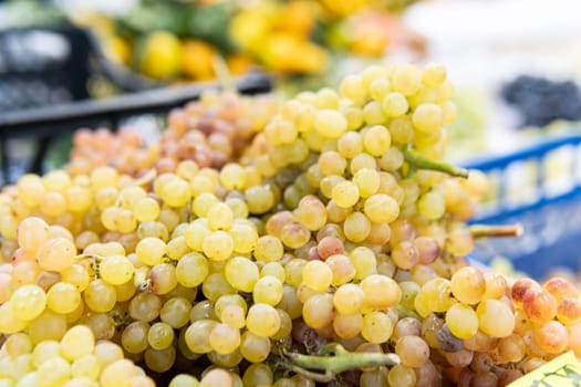 nutrition nature healthy green organic juicy fruit agriculture fresh market food grape harvest