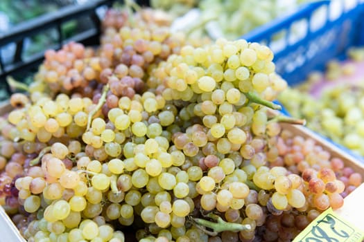 food organic grape fresh nutrition market harvest healthy agriculture green fruit juicy nature