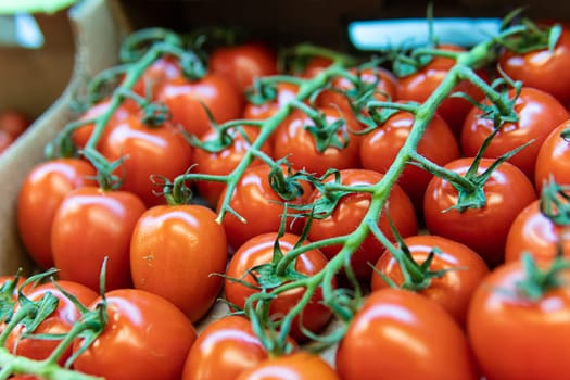 red food tomato vegetable raw market vegetarian agriculture organic juicy nature fresh produce