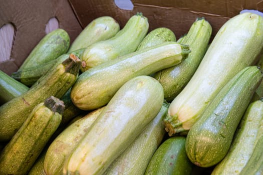 zucchini green object raw courgette food vegetarian nutrition fresh vegetable healthy ripe