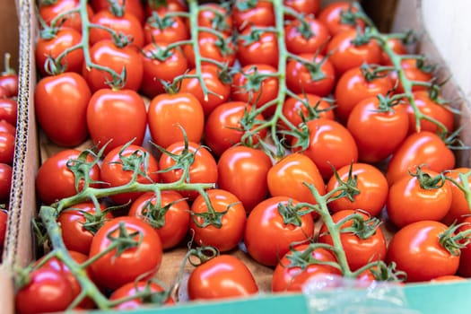 vegetarian market vegetable fresh agriculture raw tomato food juicy organic red produce nature