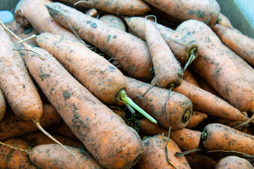 fresh background food orange healthy vegetable agriculture nutrition raw harvest carrot vegetarian
