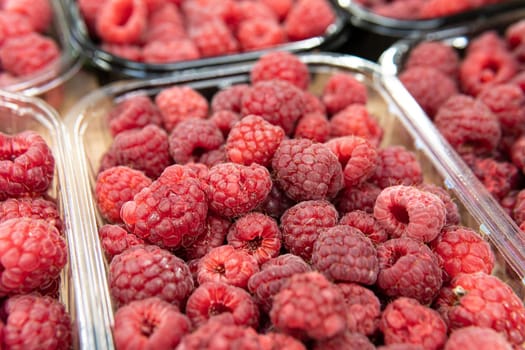 fruit delicious food natural raspberries organic market healthy ripe raspberry juicy fresh